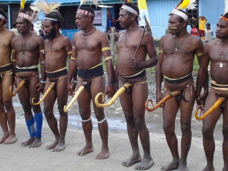 Papuani with enlarged members
